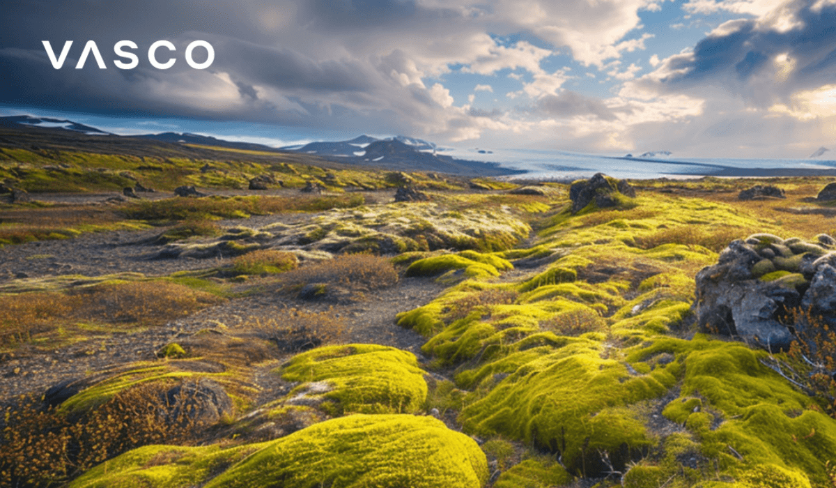 Fotografie islandské přírody