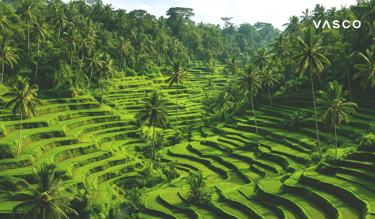 Úžasný výhled na zářivě zelené rýžové terasy Tegallalang na Bali, obklopené palmami.