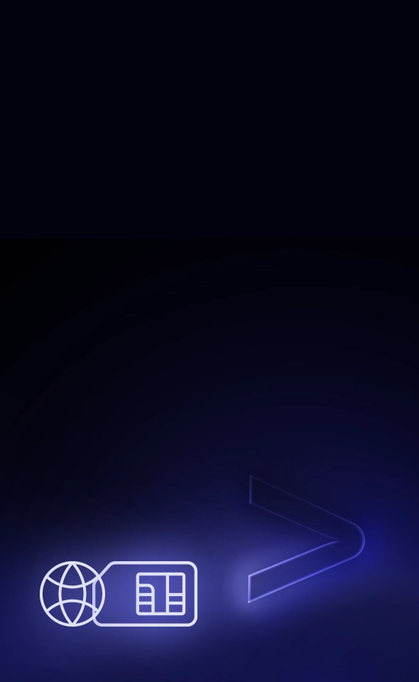 Ikona představující bezplatný internet po celém světě, což je funkce zařízení Vasco.